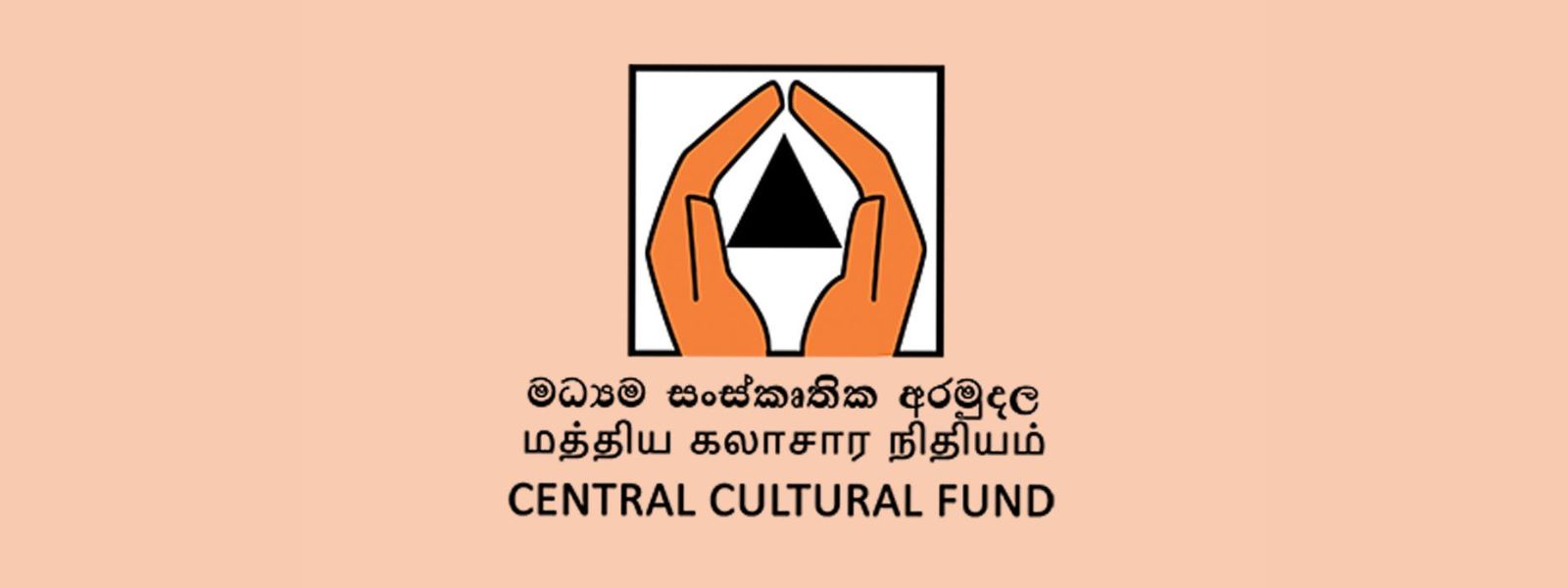 Probe into Central Cultural Fund Irregularities